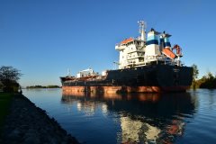 Thumbnail Image for Chiberta