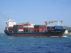 Thumbnail Image for Beluga Indication