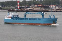 Thumbnail Image for Svanur oncontextmenu=