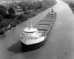 Thumbnail Image for Algostream