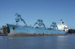 Thumbnail Image for Chimo oncontextmenu=