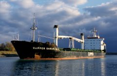 Thumbnail Image for Clipper Eagle oncontextmenu=