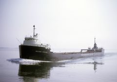 Thumbnail Image for Grande Hermine oncontextmenu=