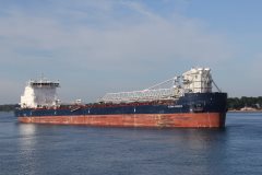 Thumbnail Image for Algoma Intrepid