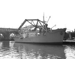 Thumbnail Image for Elsie Winck oncontextmenu=