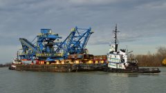 Thumbnail Image for Vigilant I