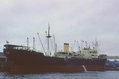 Thumbnail Image for Sophia oncontextmenu=