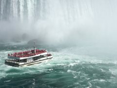 Thumbnail Image for Niagara Thunder