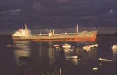 Thumbnail Image for Nanna