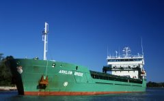 Thumbnail Image for Arklow Bridge