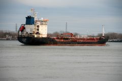 Thumbnail Image for VS Salome