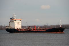 Thumbnail Image for VS Salome