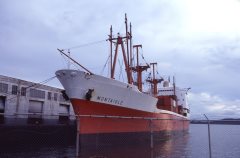 Thumbnail Image for Montaigle