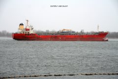 Thumbnail Image for Easterly Lime Galaxy