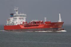 Thumbnail Image for Coral Electra