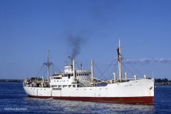 Thumbnail Image for Alcyon