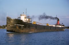 Thumbnail Image for L.A. McCorquodale