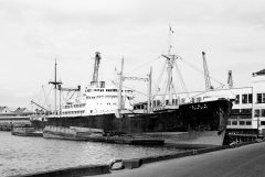 Thumbnail Image for Toho Maru