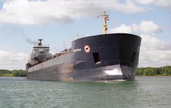 Thumbnail Image for Algowood oncontextmenu=