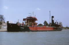 Thumbnail Image for Cardinal