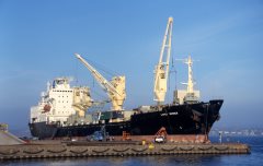 Thumbnail Image for Lykes Runner