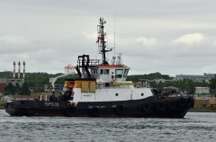 Thumbnail Image for Atlantic Oak