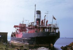 Thumbnail Image for Cardinal