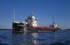 Thumbnail Image for Cedarbranch