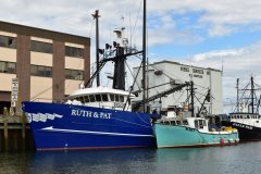 Thumbnail Image for Nightowl oncontextmenu=