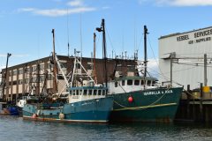 Thumbnail Image for Scout oncontextmenu=