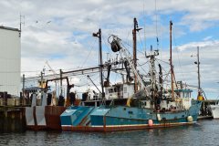 Thumbnail Image for Scout oncontextmenu=