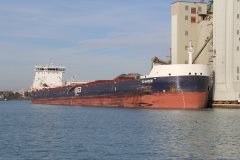 Thumbnail Image for G3 Marquis