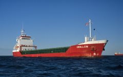 Thumbnail Image for Swallow oncontextmenu=