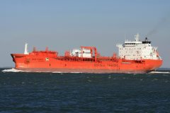 Thumbnail Image for Bow Fagus oncontextmenu=