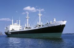 Thumbnail Image for Beaverfir