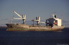 Thumbnail Image for Alexandria oncontextmenu=