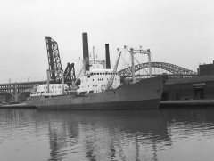 Thumbnail Image for Falstaff oncontextmenu=