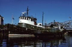 Thumbnail Image for Susan L