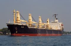 Thumbnail Image for Elm