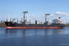 Thumbnail Image for Crio oncontextmenu=