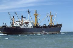 Thumbnail Image for Hille Oldendorf