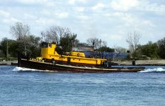 Thumbnail Image for Lenny B