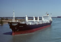 Thumbnail Image for Serafim