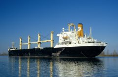 Thumbnail Image for Calliroe Patronicola