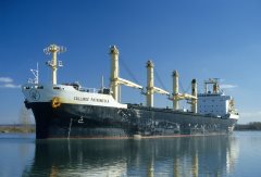 Thumbnail Image for Calliroe Patronicola oncontextmenu=