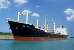 Thumbnail Image for Admitos oncontextmenu=