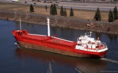 Thumbnail Image for Sea Star oncontextmenu=