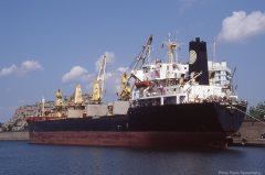 Thumbnail Image for Millenium Osprey oncontextmenu=