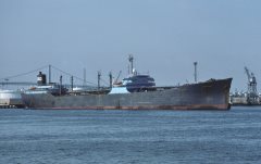 Thumbnail Image for Syosset