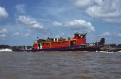 Thumbnail Image for Curly B